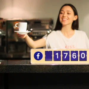 Compteur à Like Facebook 5 Chiffres